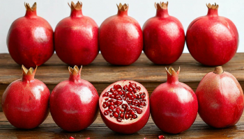 Уход за саженцами граната: освещение, полив, подкормка и обрезка Уход за саженцами граната: освещение, полив, подкормка и обрезка